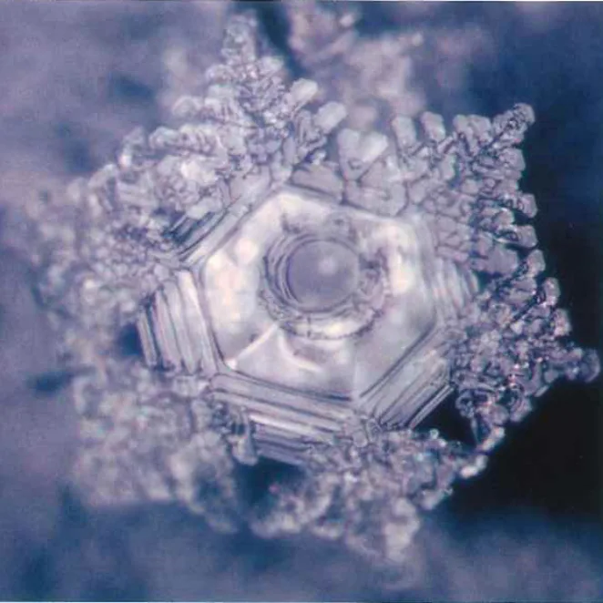 水の結晶